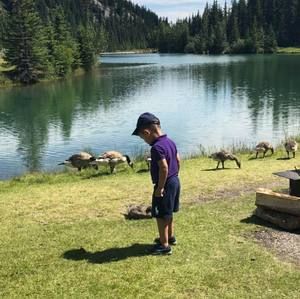 Meet your Posher, Sam